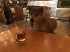 -Arrow Factory Brewing箭厂啤酒