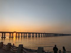 -宝安西湾红树林湿地公园