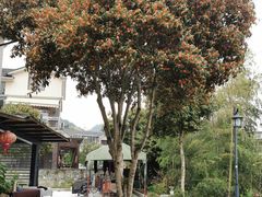 -自在弥林花园餐厅(云栖店)