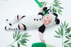 -小熊维尼高端儿童摄影(罗湖区总店)