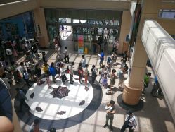 -上海交通大学医学院附属上海儿童医学中心(陆家嘴总院区)