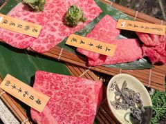 -老乾杯(深圳湾万象城店)