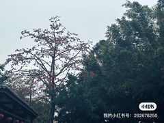 -南普陀寺
