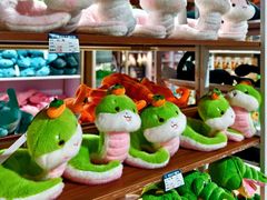 -上海大自然野生昆虫馆(东方明珠·爬宠昆虫探索中心)