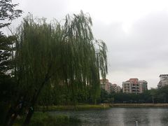 -映月湖公园