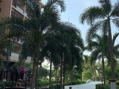 -三亚亚龙湾红树林度假酒店