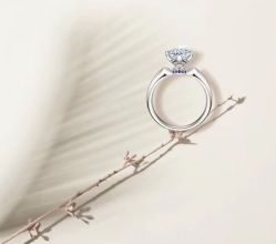 点击看大图 -钻石小鸟钻戒婚戒定制(石路店)