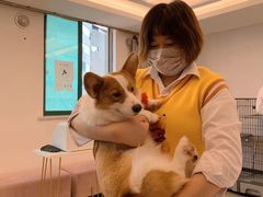 -浣熊柯尔鸭土拨鼠·电玩咖