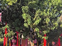 -郑州方特欢乐世界
