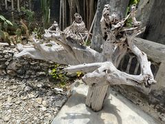 -三亚西岛海洋文化旅游区