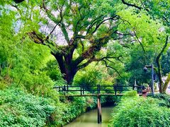 -古堰画乡景区