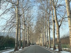-北京西山滑雪场