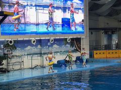 -合肥海洋世界