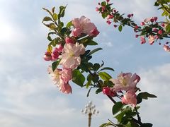 -迎泽公园