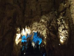 -怀托摩萤火虫洞