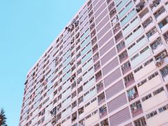 -彩虹村