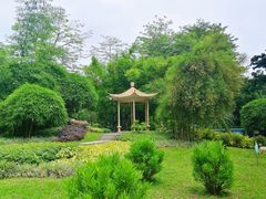 -晓港公园