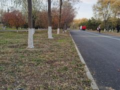 -永定河休闲森林公园