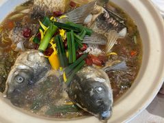 -龙悦湾酒家·八阵鱼生·渔人码头店