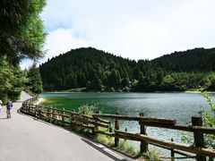 -武陵山森林公园