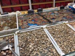 -映像威海·海鲜味道(经区店)