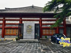 -荷唐·殿 Home Town Palace