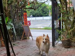 -豆舞咖啡(民乐路店)