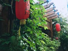 -慢丽江·云南野生菌土鸡锅(付家庄店)