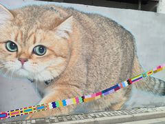 -方浜中路45弄小区