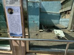 -青藏高原野生动物园