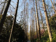 -上海怡沁园度假酒店