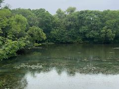 -昆山城市生态森林公园