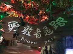 -泉城欧乐堡海洋极地世界