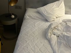 -白玉兰酒店(上海田子坊马当路地铁站店)