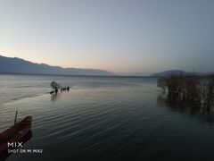 -野菌皇海景野生菌火锅(滨海大道店)