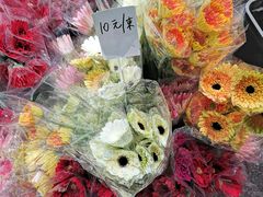 -循礼门鲜花花市(武汉循礼门店)