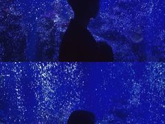 -石家庄海洋公园