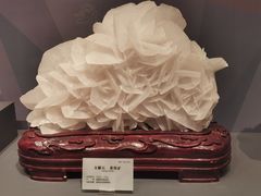 -湖南省地质博物馆