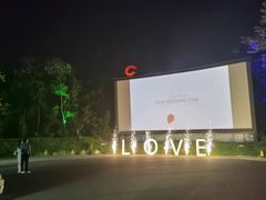 -枫花园汽车电影院(朝阳公园店)