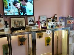 -小呆的宠物店·宠物售卖·宠物寄养(城西店)