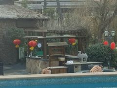 -芭东小镇温泉