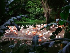 -广州长隆野生动物世界