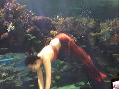 -运城海洋馆