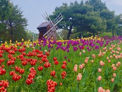 -长春公园(普阳街道)