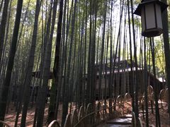 -宝岩生态观光园