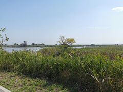 -盐城丹顶鹤湿地生态旅游区