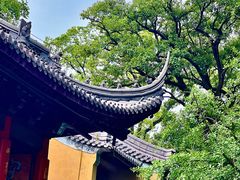 -灵谷景区