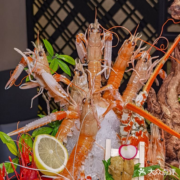 新西兰鳌虾不限量,瞬间感觉挖到宝了!