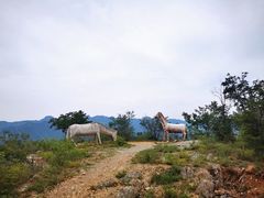 -圣莲山风景区
