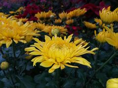 -华南国家植物园-售票处